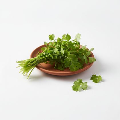 Coriander