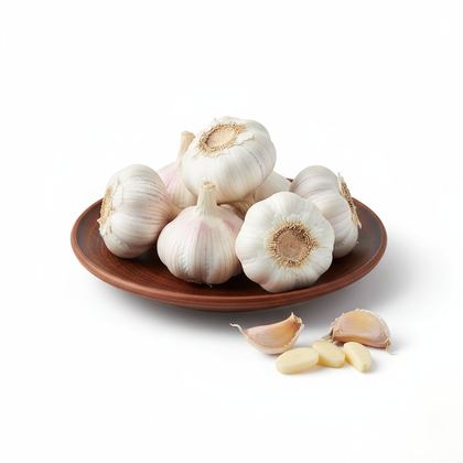 Garlic