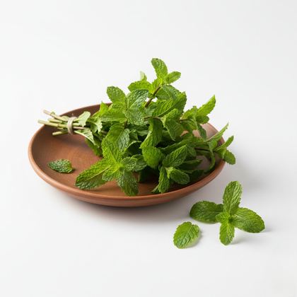 Mint