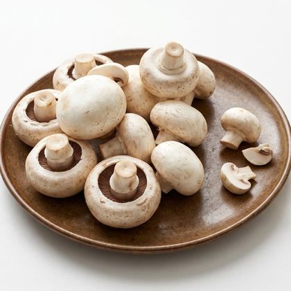 Mushroom